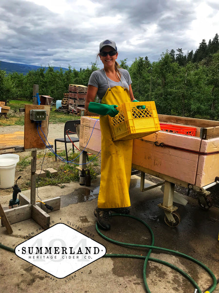 Pasteurization Computer